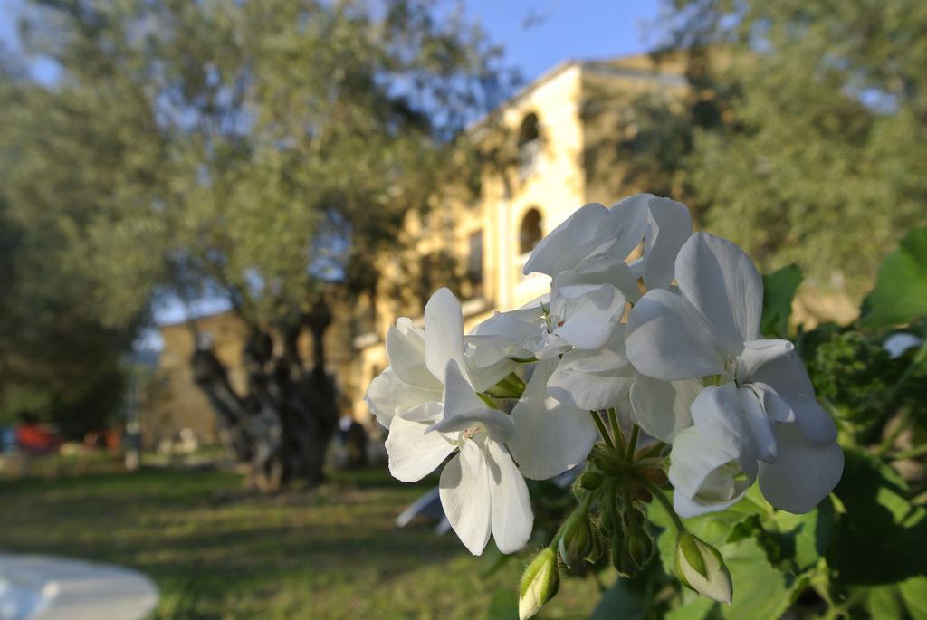 Maset Del Garraf Guest House Olesa de Bonesvalls Exterior photo