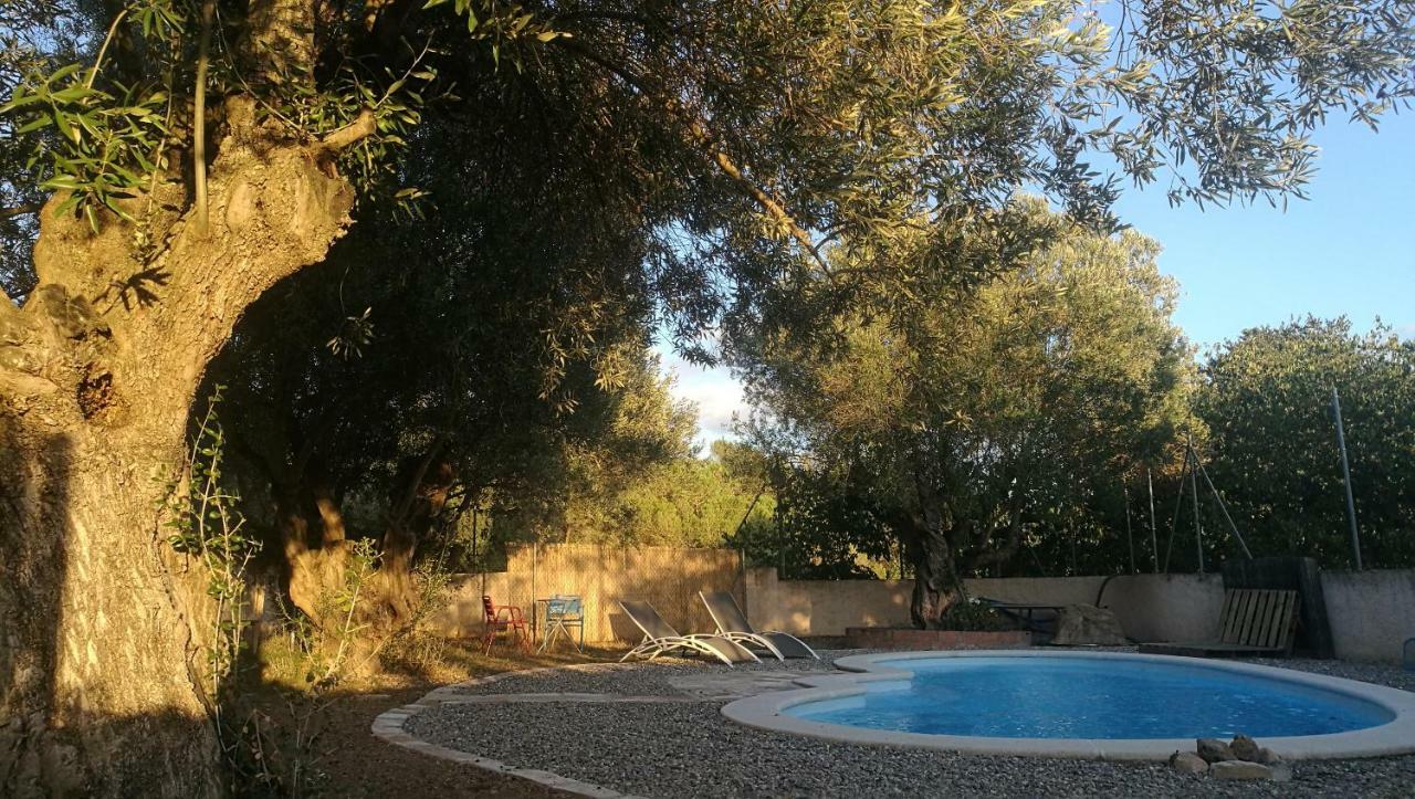 Maset Del Garraf Guest House Olesa de Bonesvalls Exterior photo